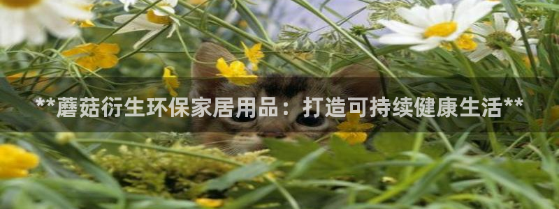 杏耀app怎样申请