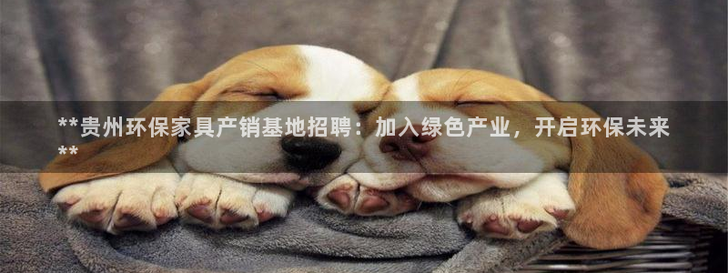 杏耀平台代理怎么赚钱快