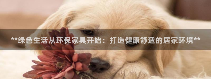 杏耀登陆
