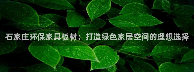 杏耀代理连接