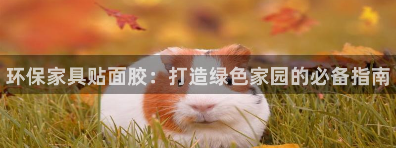 杏耀官网app