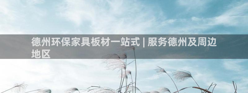 杏耀平台代理登录网址：德州环保家具板材一站式 | 服务德州及
