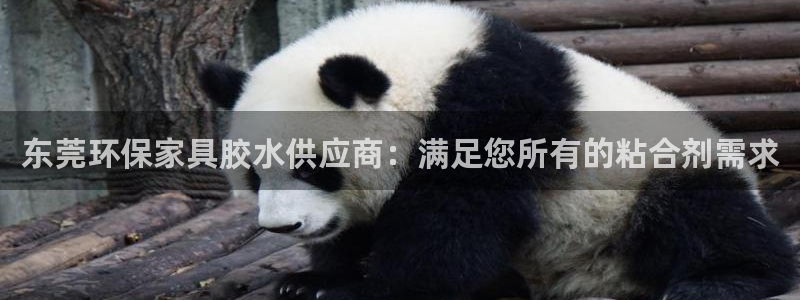 杏耀平台注册网址