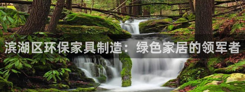 杏耀注册线路