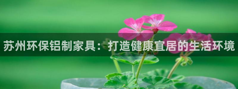 杏耀平台娱乐登陆：苏州环保铝制家具：打造健康宜居的生活环境