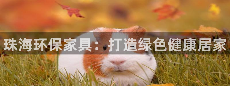 杏耀官网娱乐：珠海环保家具：打造绿色健康居家