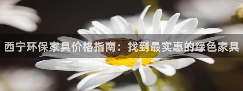 杏耀客户端登陆：西宁环保家具价格指南：找到最实惠的绿色家具
