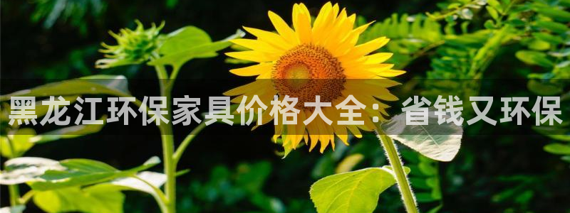 杏耀平台代理怎么赚钱快