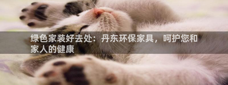 杏耀平台注册：绿色家装好去处：丹东环保家具，呵护您和
家人的