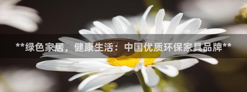 杏耀代理官网：**绿色家居，健康生活：中国优质环保家具品牌*