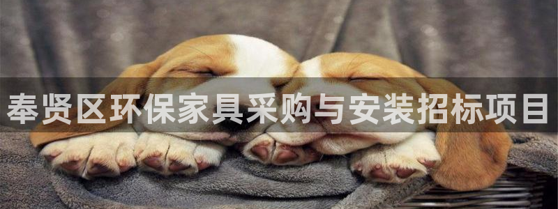 杏耀平台登陆测速：奉贤区环保家具采购与安装招标项目