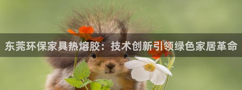 杏耀登陆线路