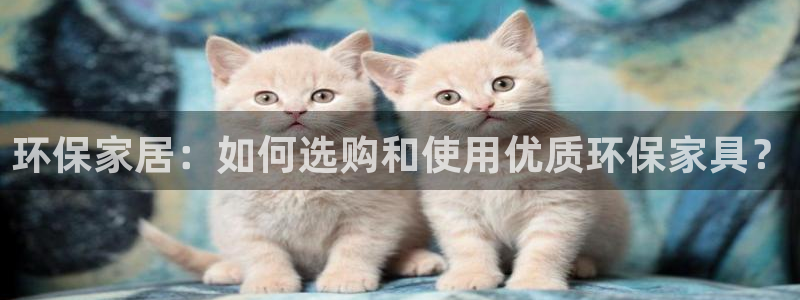 杏耀代理主管qq