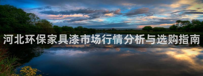 杏耀手机客户端：河北环保家具漆市场行情分析与选购指南