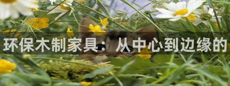 杏耀平台线路测试：环保木制家具：从中心到边缘的