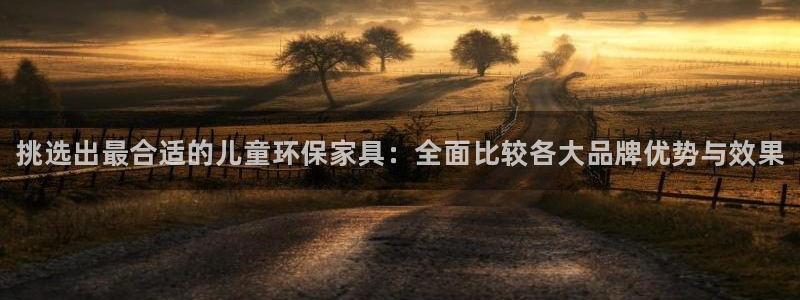 杏耀手机登录线路测速：挑选出最合适的儿童环保家具：全面比较各