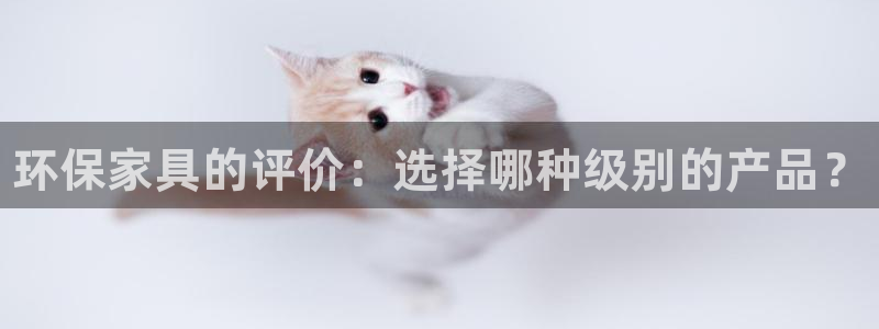 杏耀平台代理登录网址是什么：环保家具的评价：选择哪种级别的产