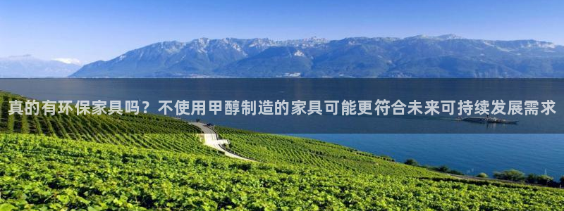 杏耀平台官网登录：真的有环保家具吗？不使用甲醇制造的家具可能