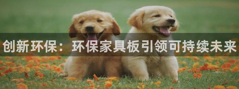 杏耀平台测速登陆：创新环保：环保家具板引领可持续未来