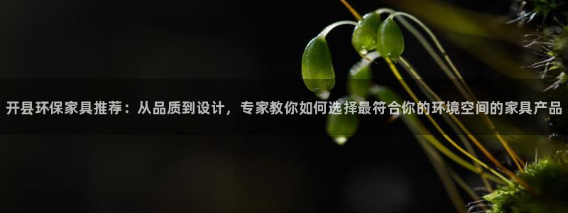 杏耀官方测速：开县环保家具推荐：从品质到设计，专家教你如何选